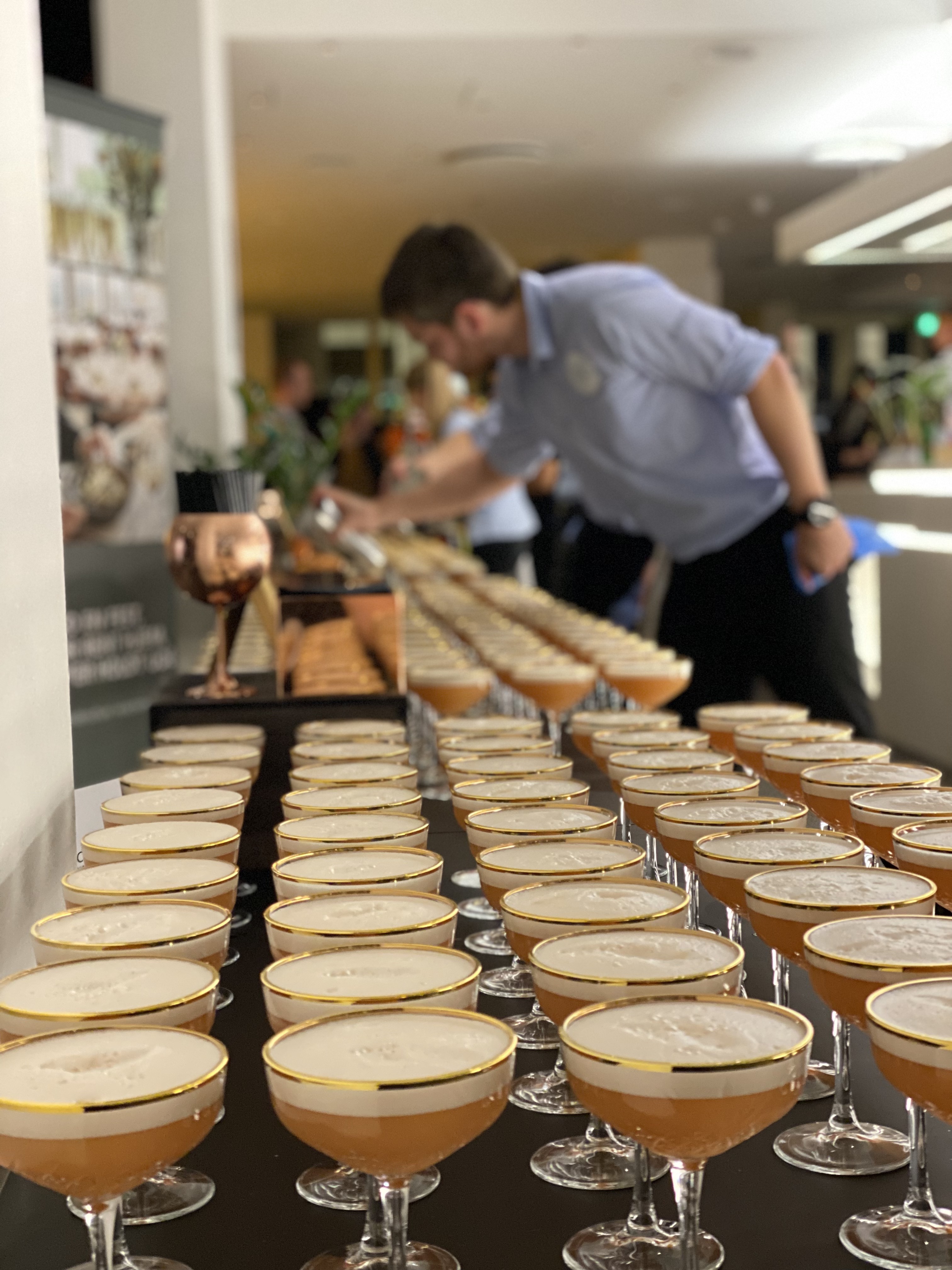 Rows of identical gold-rimmed coupe cocktails prepared in service by a professional bartender